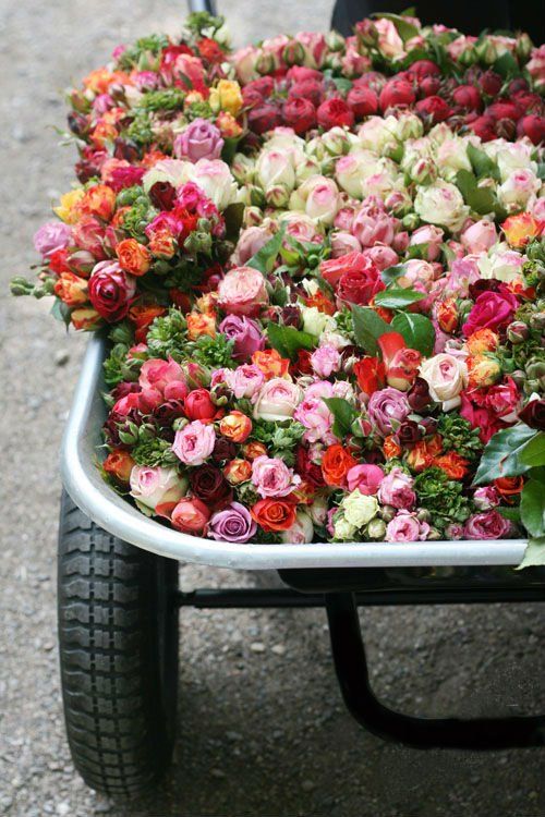 spring