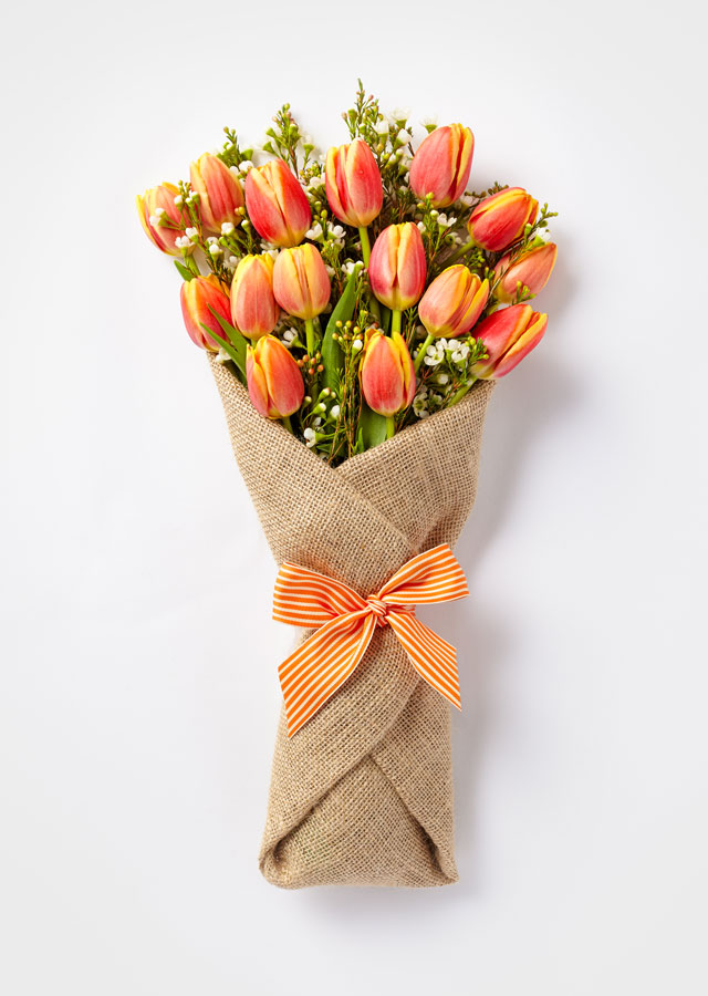 Pic from bloomthat-the-pixley