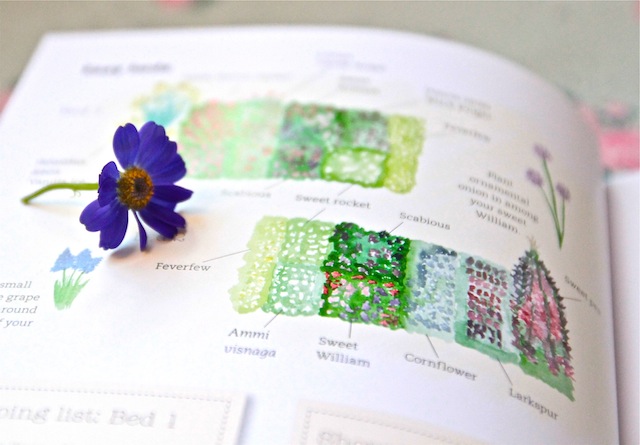The Cut Flower Patch