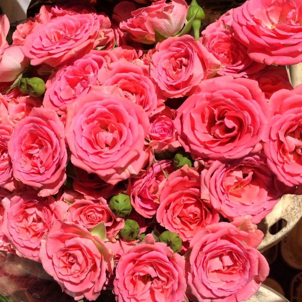Flowers in Portobello Road market