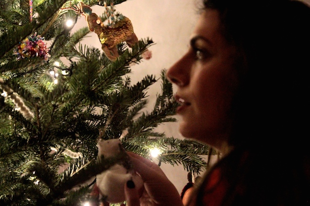 Christmas Tree Delivery - Pines and Needles