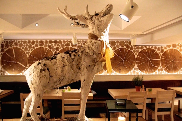 Daylesford Farmshop - Notting Hill