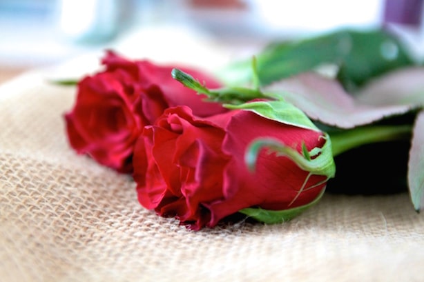 Bloom and Wild Flower Delivery London
