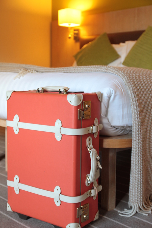 Steamline Luggage suitcase