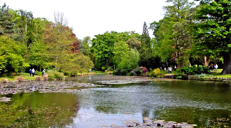 Thorpe Hall Gardens