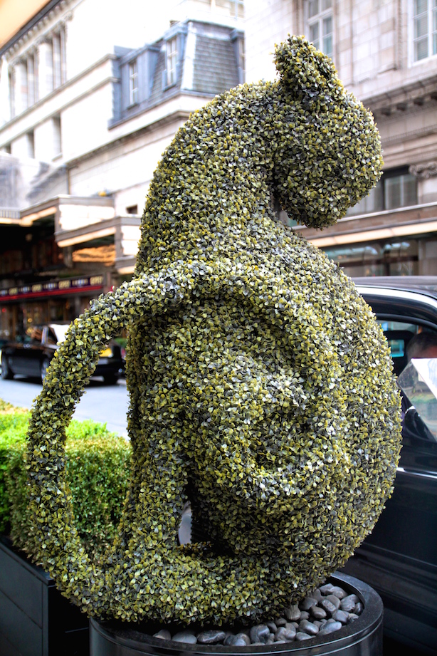 Topiary outside The Savoy