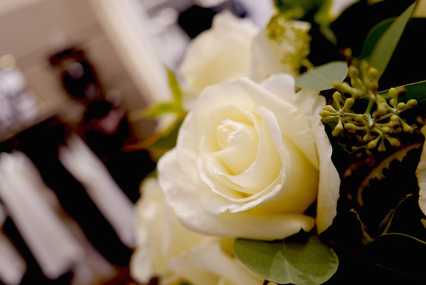 Yellow rose