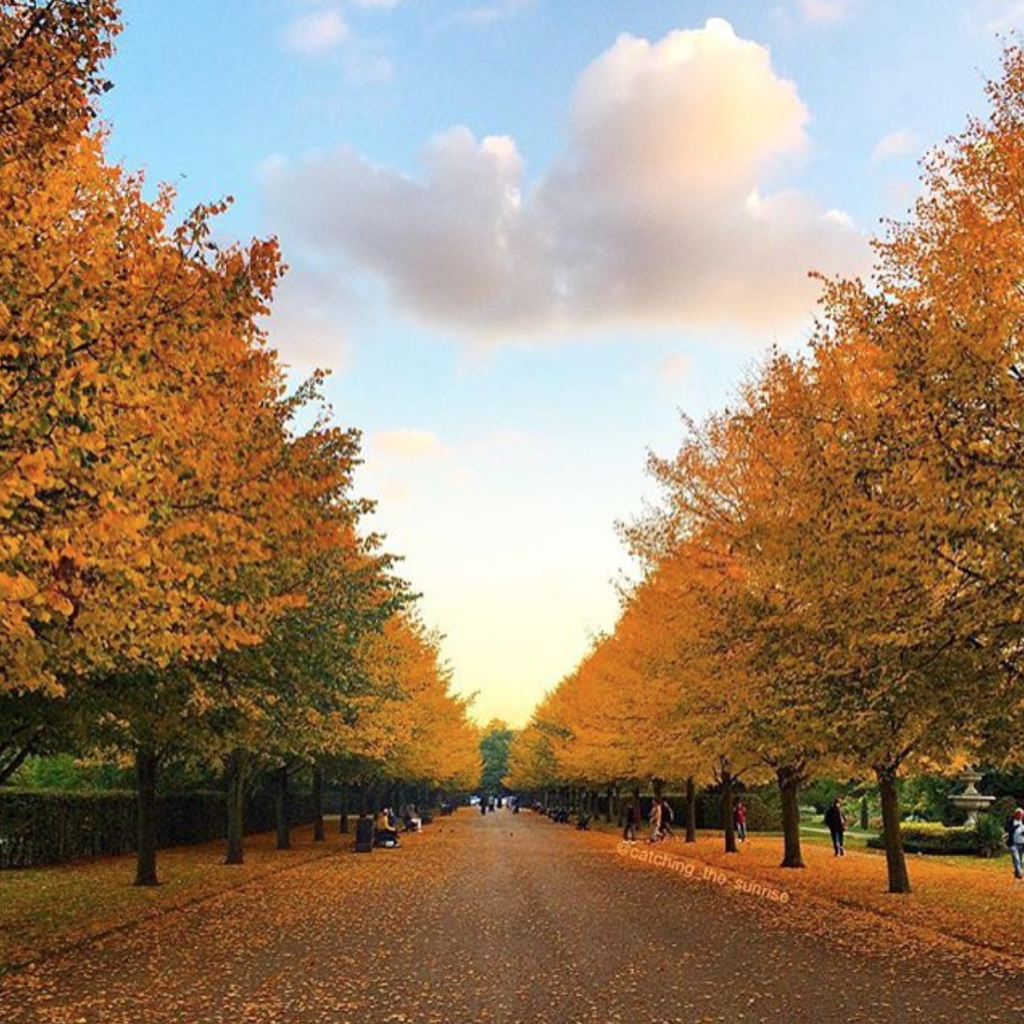 Autumn in London