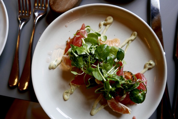 Fresh salad with gravlax