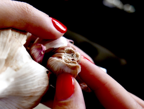 garlic
