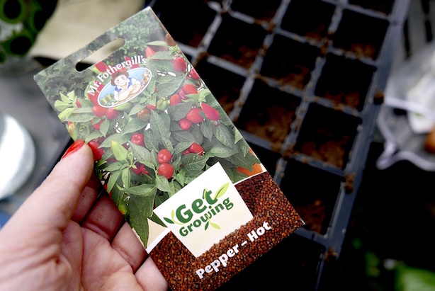 Wyevale Garden Centre