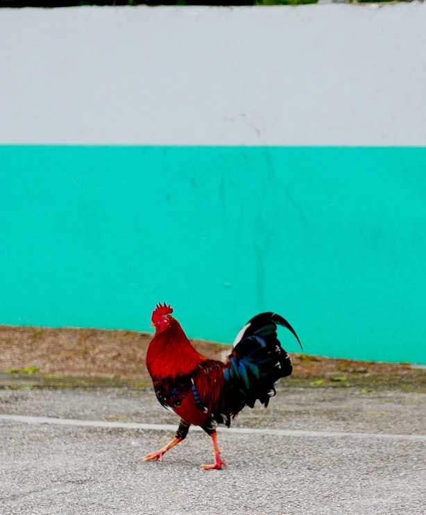 Anguilla