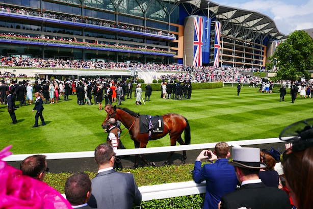 Ascot