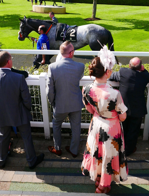 Ascot