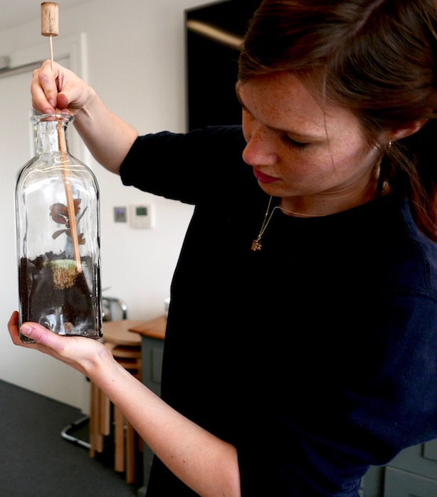 London Terrariums