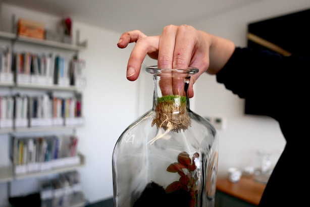 London Terrariums