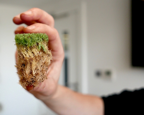 London Terrariums