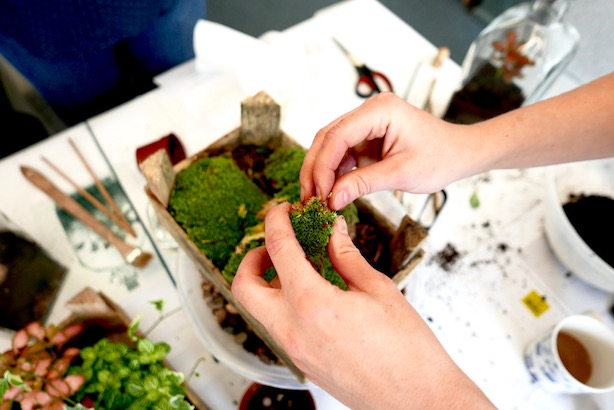London Terrariums