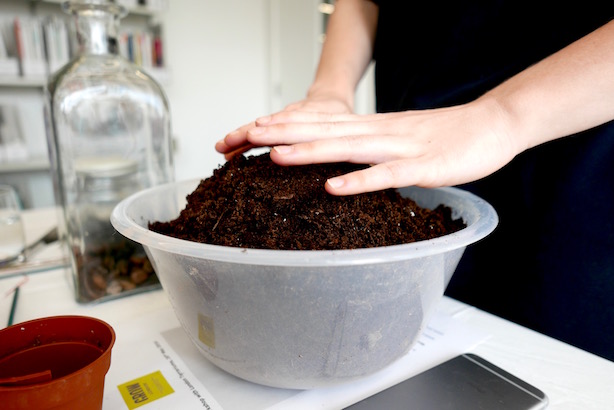 London Terrariums
