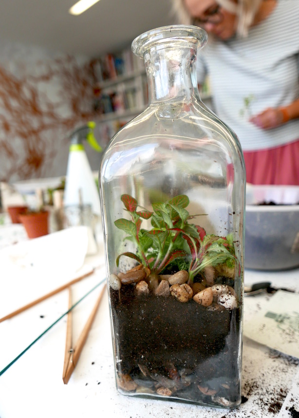 London Terrariums