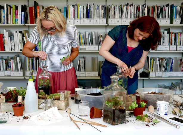 London Terrariums