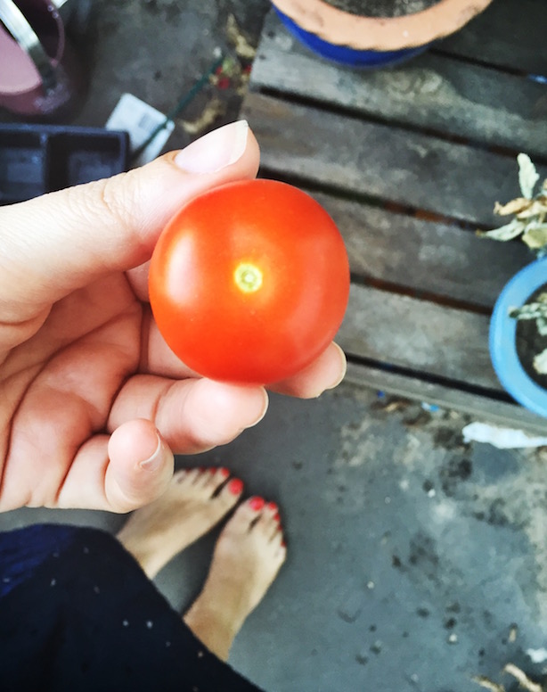 Grow Your Own