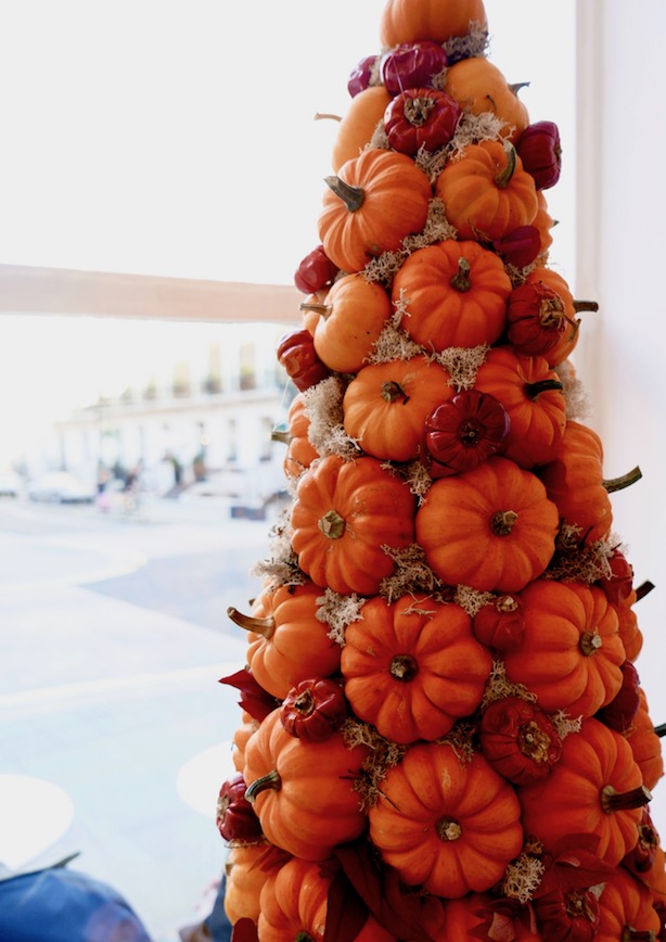 Belgravia London Poppy Loves