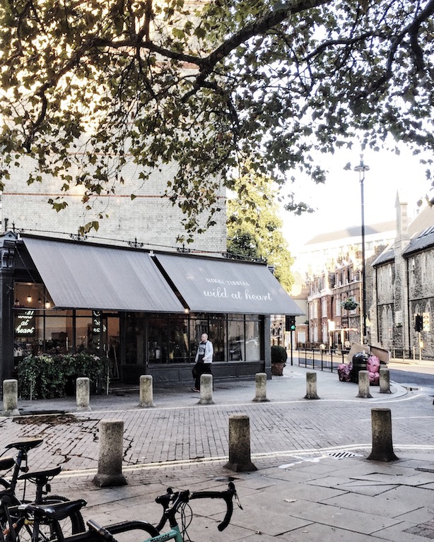 Wild at Heart Florist Belgravia