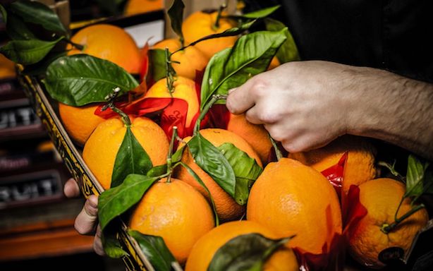 mercante-restaurant-park-lane-hotel-piccadilly-italian-london-11