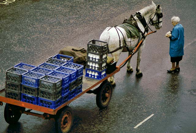 horse and cart