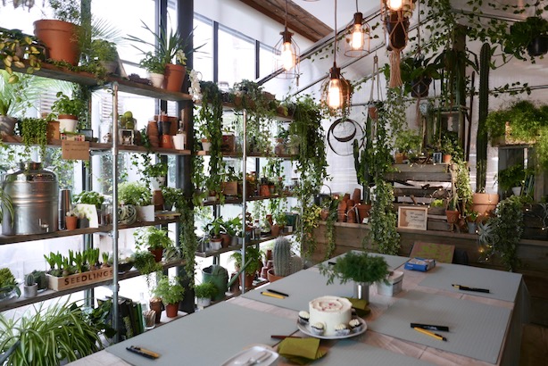 Airbnb-Experiences-Poppy-Loves-14