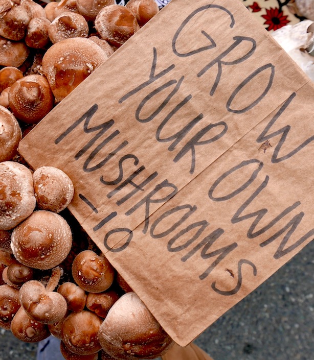 Ballard Farmer's Market