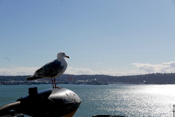 Seattle-Things-To-Do