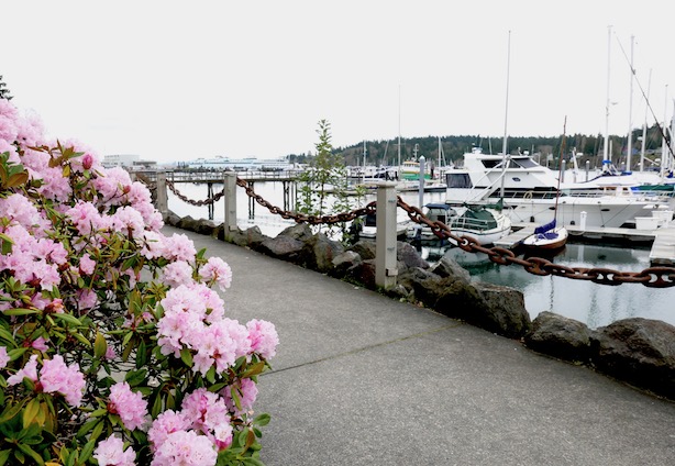 Seattle-Things-To-Do