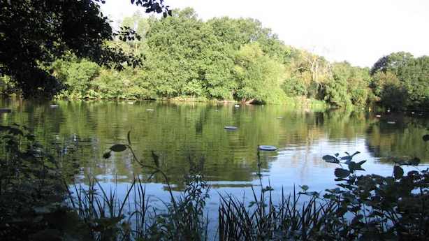 Hampstead Ponds