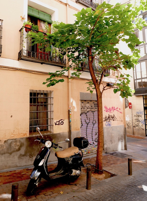 24 Hours in Madrid