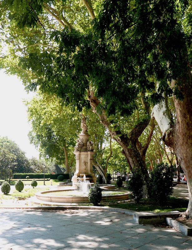 24 hours in Madrid