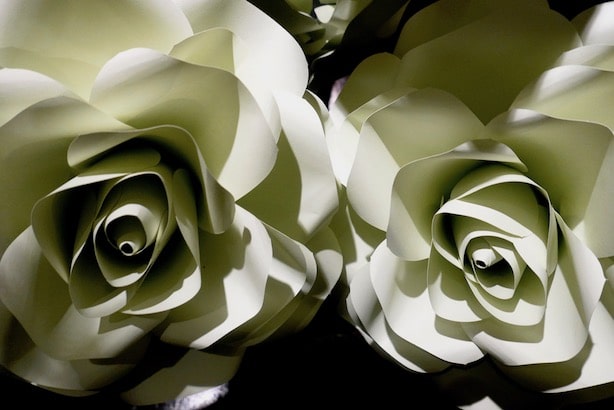 Green & Black's Velvet Edition