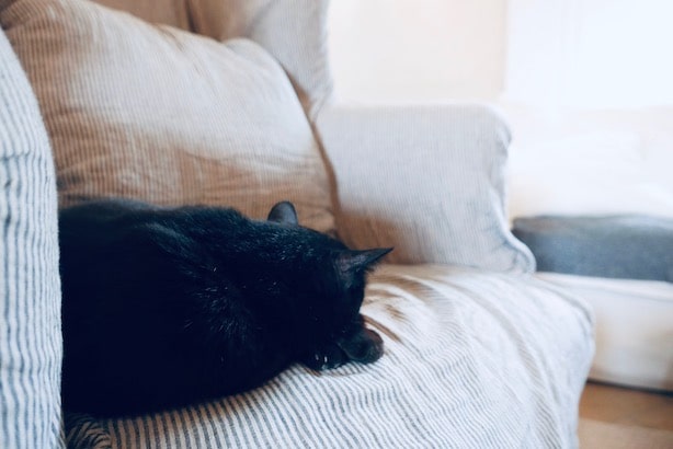Casa-la-Siesta-Poppy-Loves-41
