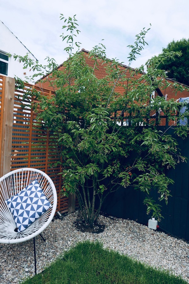 Poppy-Loves-Homebase-AFTER-31