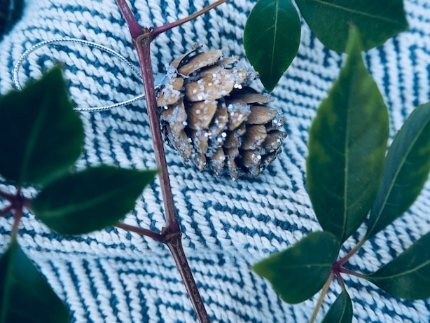 Cadbury-Inventor-Poppy-Loves