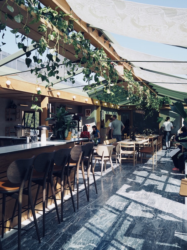 Roof Garden at Pantechnicon