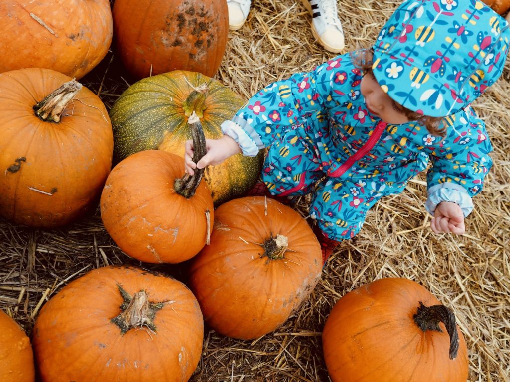 Pumpkin-Picking-Near-London