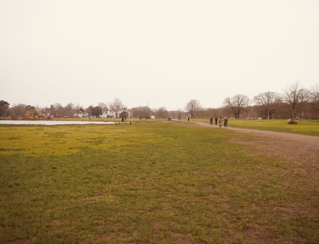 Wimbledon-Common