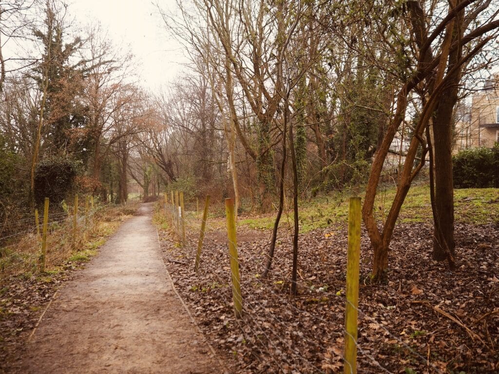 The-Mansions-Wimbledon-Village
