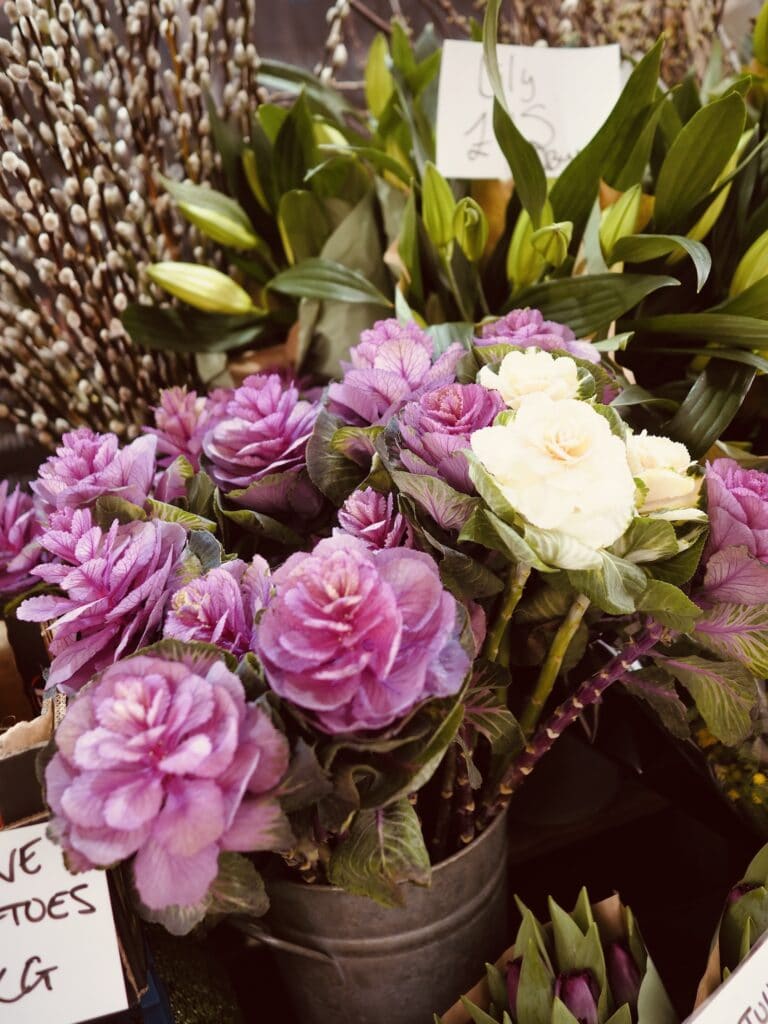 Gardenia-Wimbledon-Village