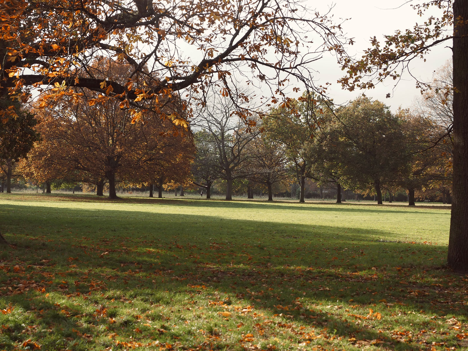 ealing-shops-independent-17