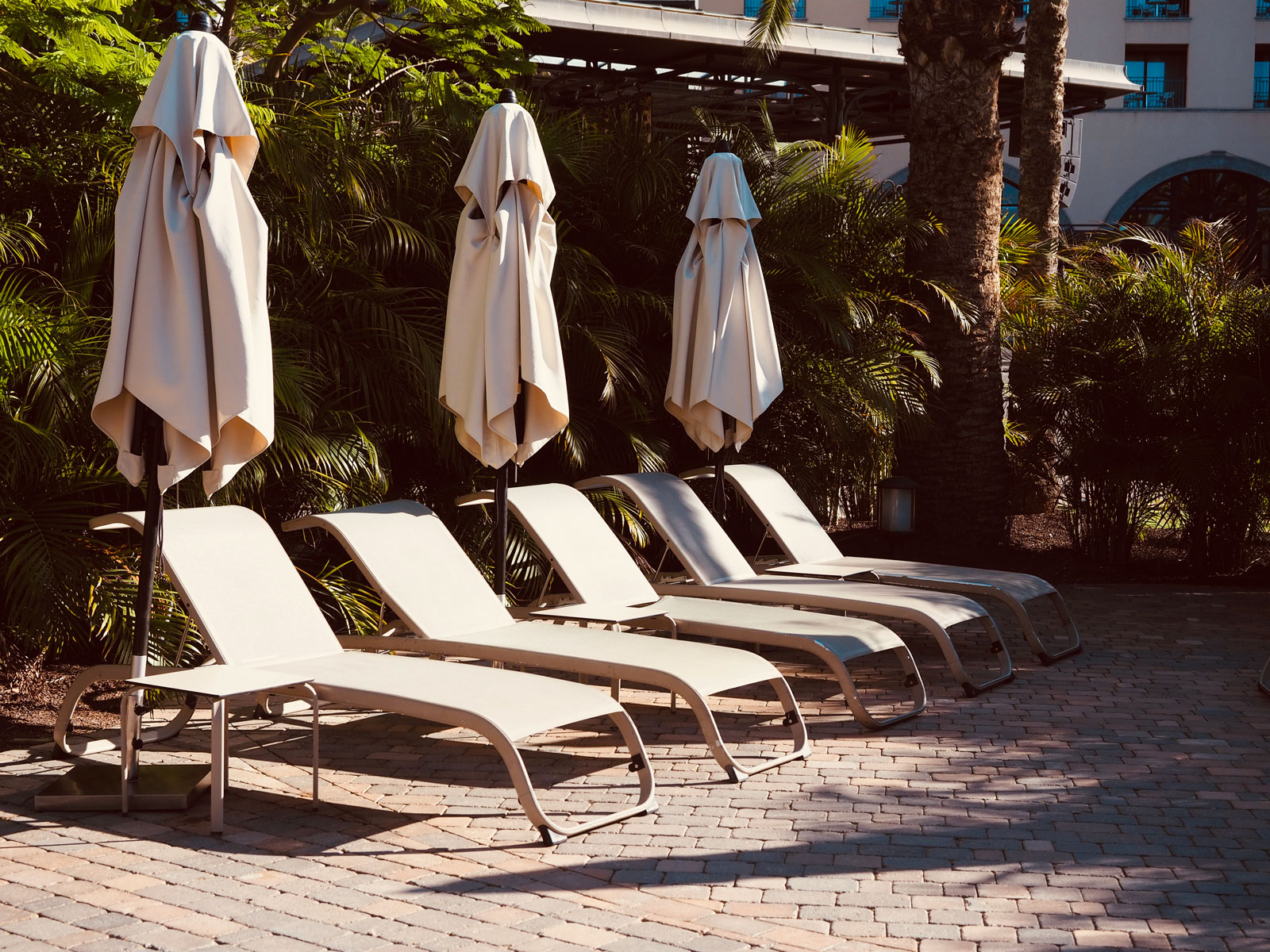 sun loungers