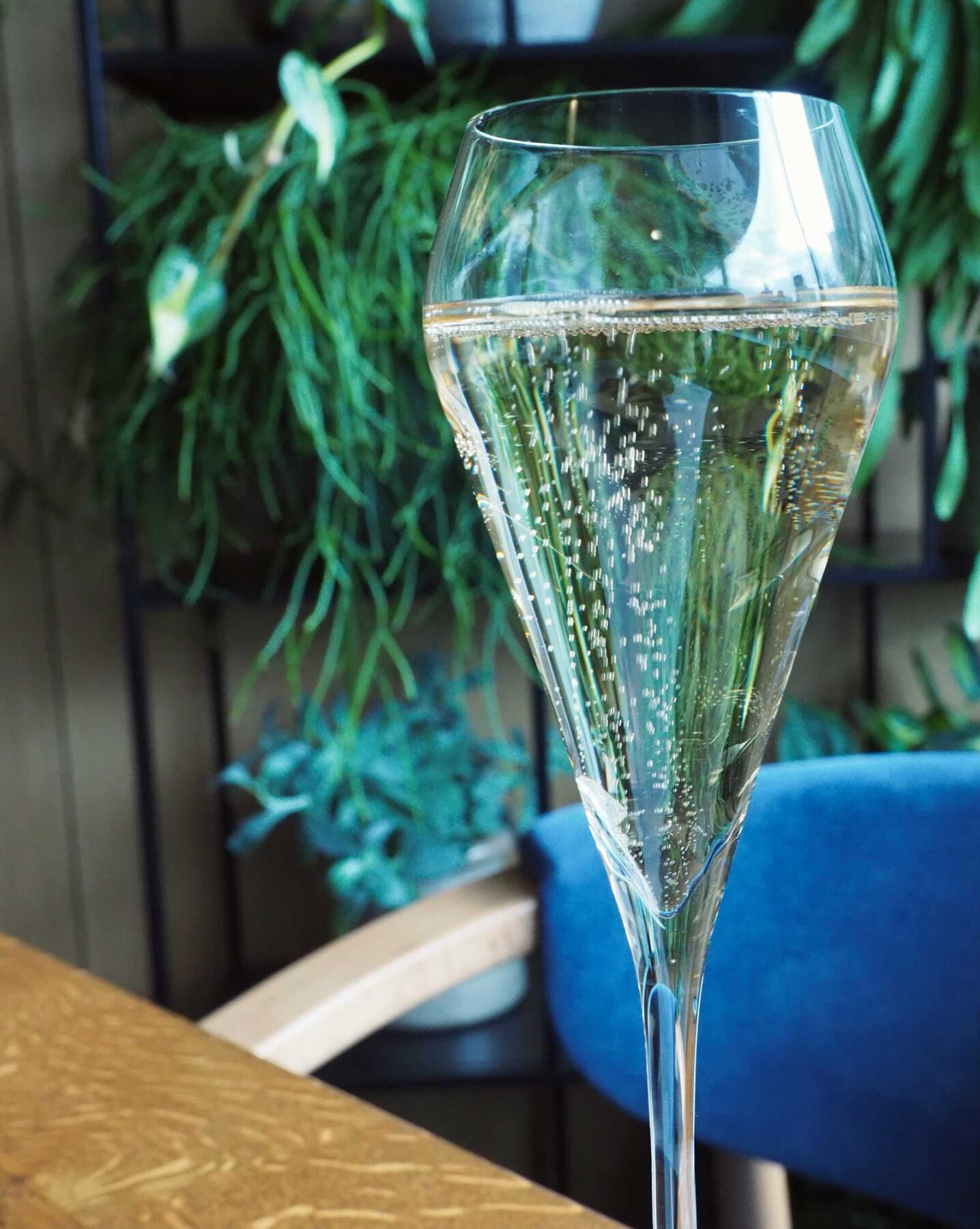 barbican-brasserie-searcys-7