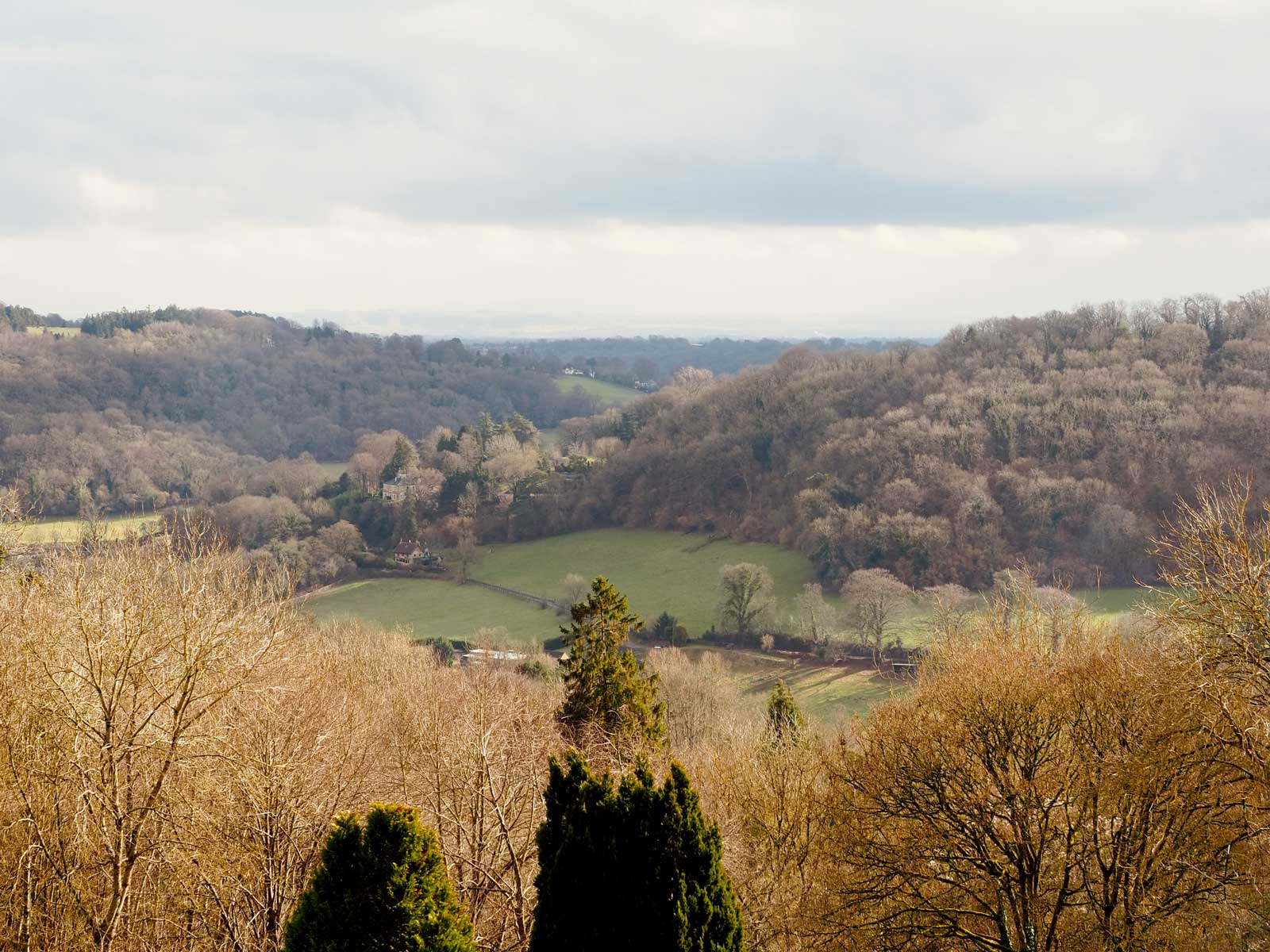 combe-grove